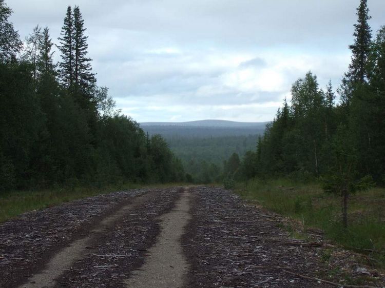 mit-dem-fahrrad-ans-nordkap.de fahrrad nordkap thumbs fahrrad-reise-tour-dscf2078-finnland.jpg