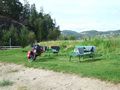 mit-dem-fahrrad-ans-nordkap.de fahrrad nordkap thumbs fahrrad-reise-tour-dscf2666-norwegen.jpg